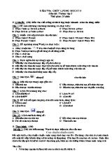 Đề kiểm tra chất lượng học kì II môn Tin học Lớp 5